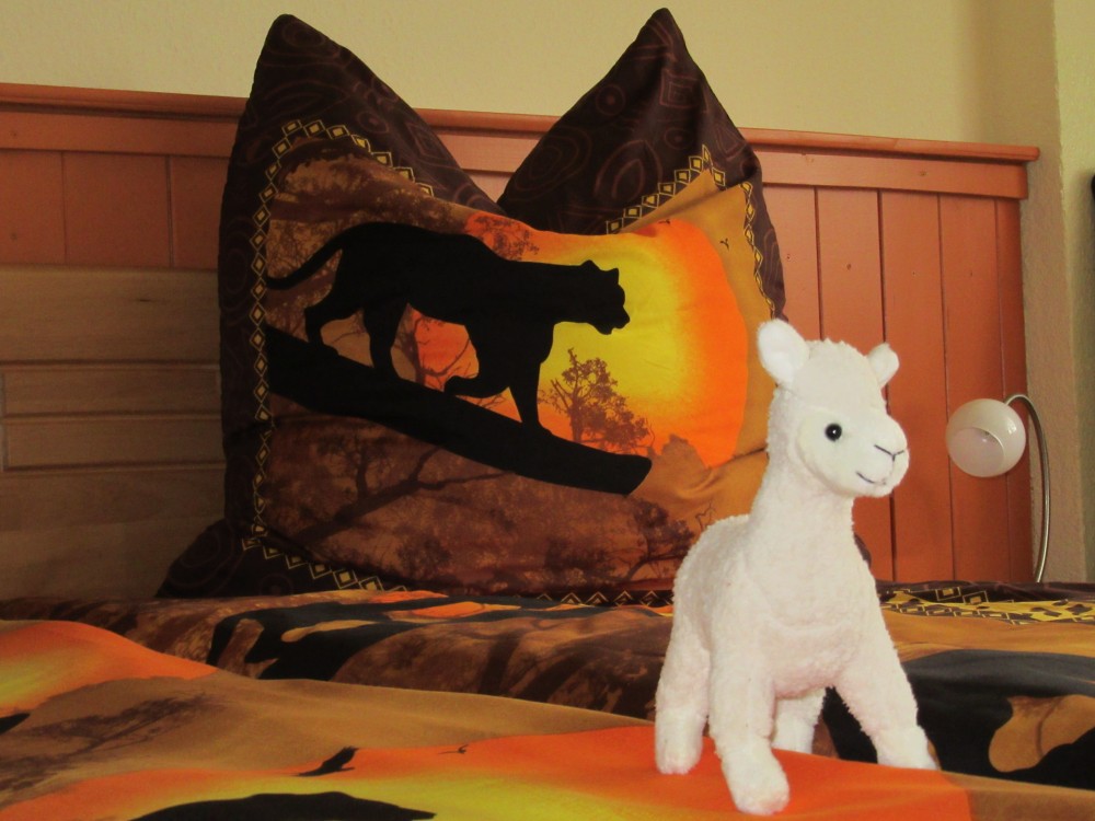 Urlaub bei den Alpakas von der WinklerRanch Ferienwohnung